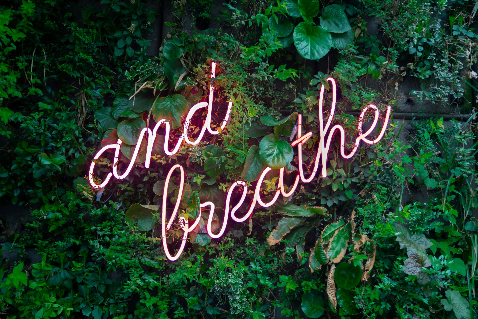 Hypnotherapy in Essendon, Melbourne 77